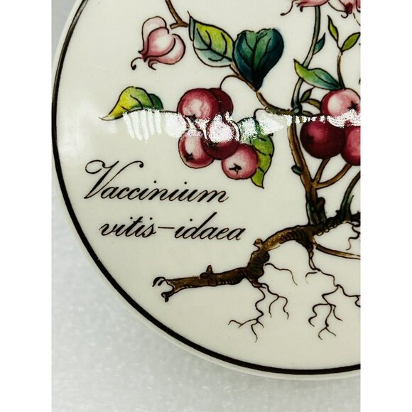Villeroy Boch Botanica Trinket Box Vaccinium Vitis Idaea Lingonberry 2.5 inch - Picture 3 of 8
